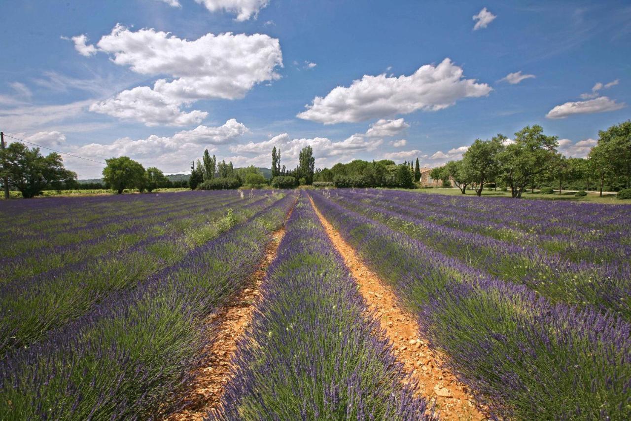 Gites Dans Mas En Pierres Robion en Luberon 외부 사진